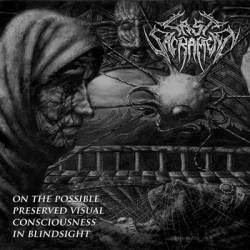 On the Possible Preserved Visual Consciousness in Blindsight